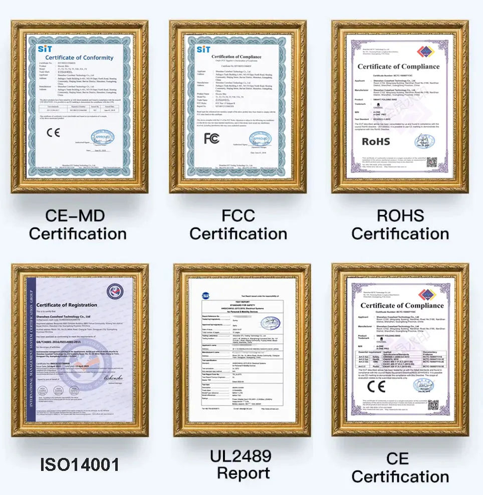 Coswheel Electric Bike CT20 1500W Motorcycle 20Inch Fatbike Ebike Mountain bike 48V 25AH Bikes Adult Electric Bicycle Motocycles