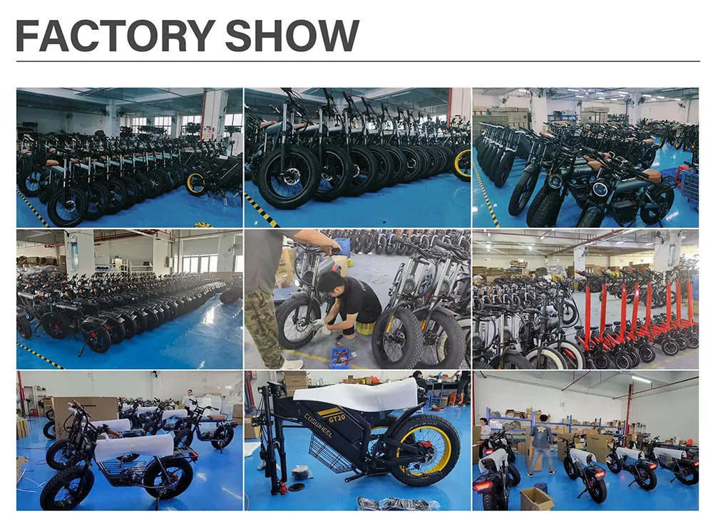 Coswheel Electric bike 3000W GT20 PRO Off Road Electric Motorcycle 48V 40AH Dual Motor Dual Battery Mountain bike Fat Tire Ebike