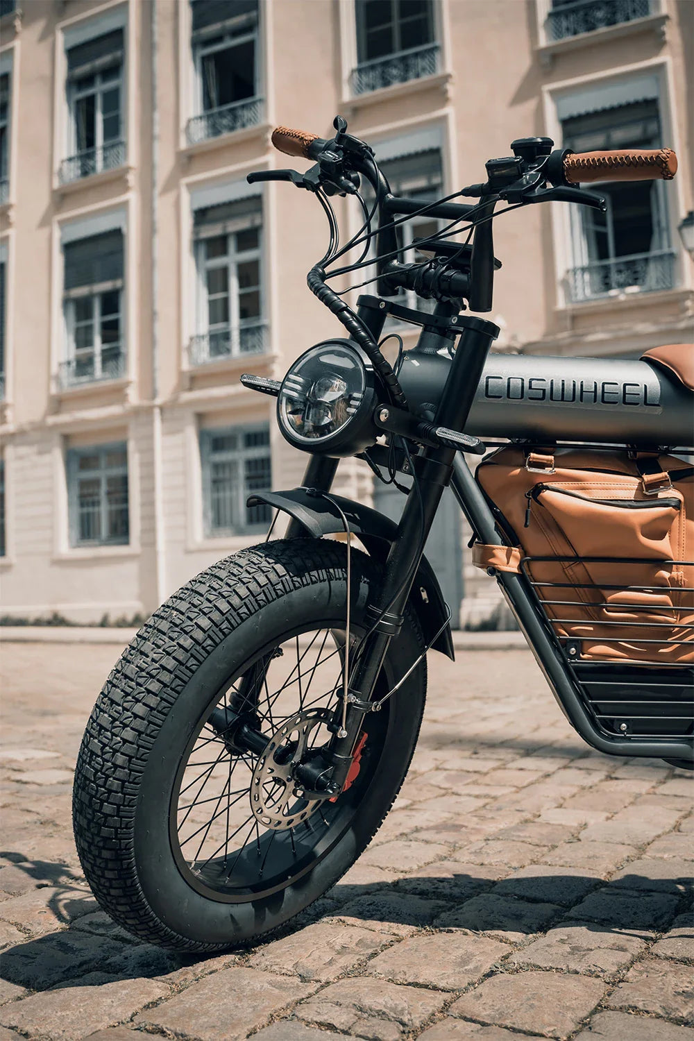 Coswheel Electric Bike CT20 1500W Motorcycle 20Inch Fatbike Ebike Mountain bike 48V 25AH Bikes Adult Electric Bicycle Motocycles