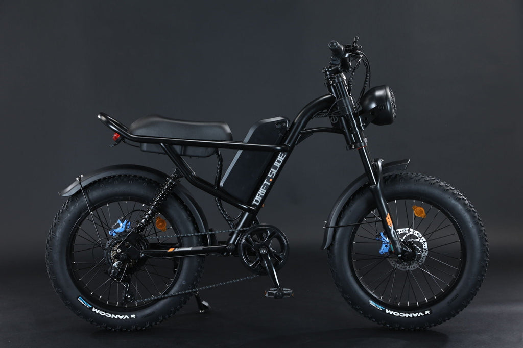 New Design 750W Mountain Electric Bicycle Out Door With Fat Tire 20''Ebike
