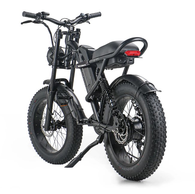 New Design 750W Mountain Electric Bicycle Out Door With Fat Tire 20''Ebike